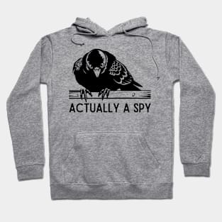 I Am A Lie Birds Aren't Real Bird Spy Hoodie